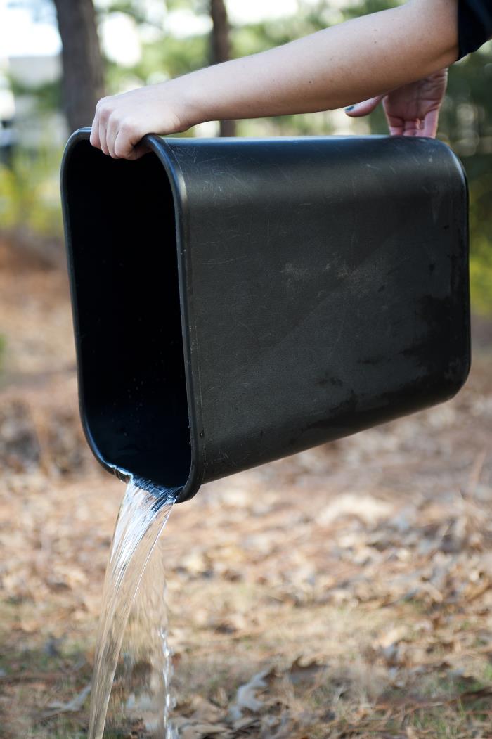 Person emptying a bucket outdoors to remove standing water where mosquitoes can lay eggs