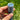 Acebeam TAC AA Tactical Flashlight (Avalanche Grey)