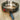 Camper Strap by Supresse Straps