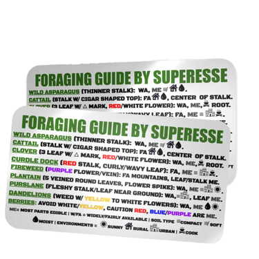 Foraging Guide Decal - Plants and Edibles Quick Identification Reference