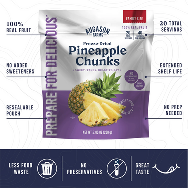 Freeze Dried Pineapple Chunks Family Size Pouch – 20 Servings