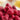 Freeze Dried Whole Raspberries Can, 23 Servings