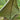 Hideaway Tarp – 12' Hammock Rain Tarp