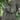 M-Tac Waist Bag Elite Hex – Cordura Tactical Waist & Sling Bag