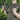 M-Tac Waist Bag Elite Hex – Cordura Tactical Waist & Sling Bag