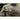 M-Tac Waist Pack Companion Large – Multi-Pocket Tactical Waist & Sling Bag