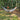 REM Hammock – Complete Sleep System