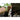 Recondo 1 Jungle Hammock System