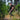 Scout Takedown Survival Bow