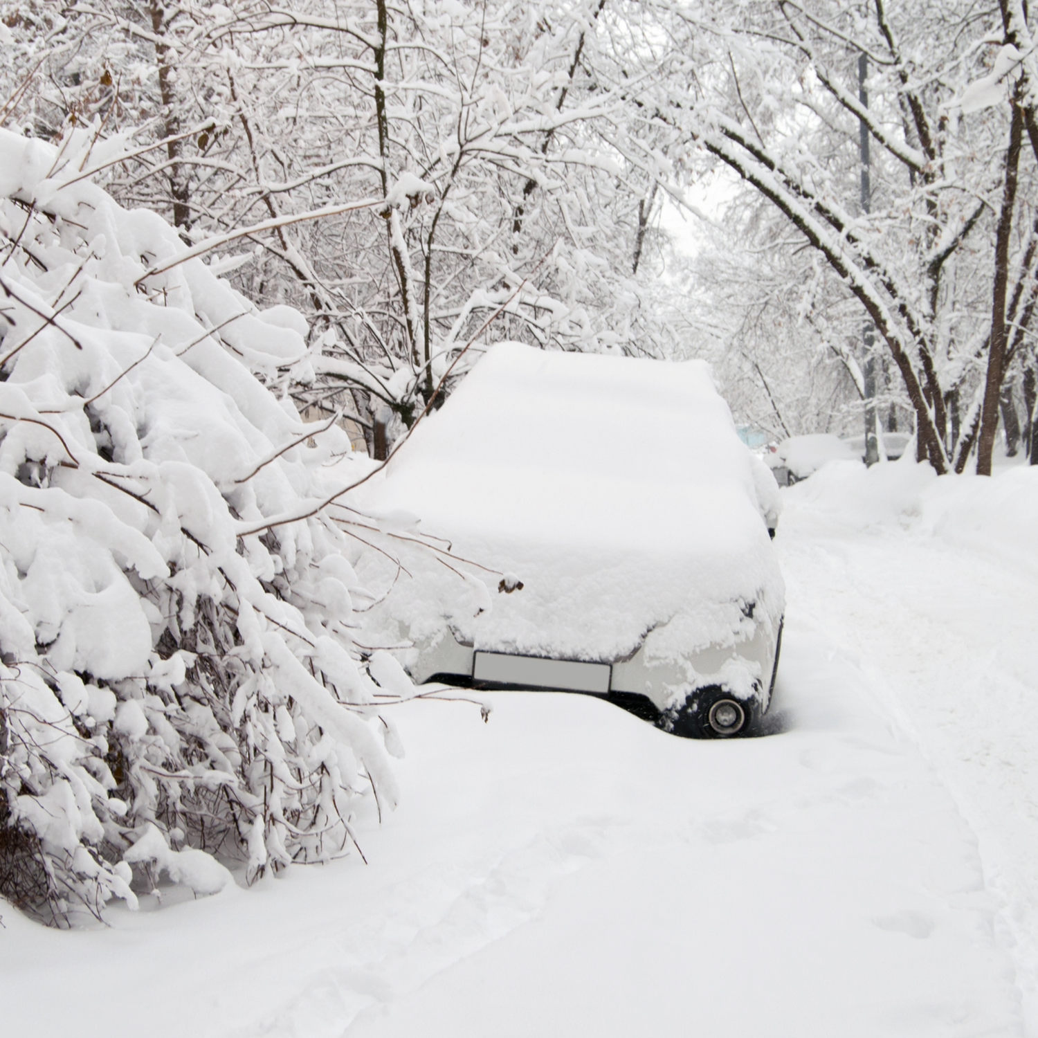 Stranded in the Cold: How to Survive a Winter Emergency in Your Vehicle