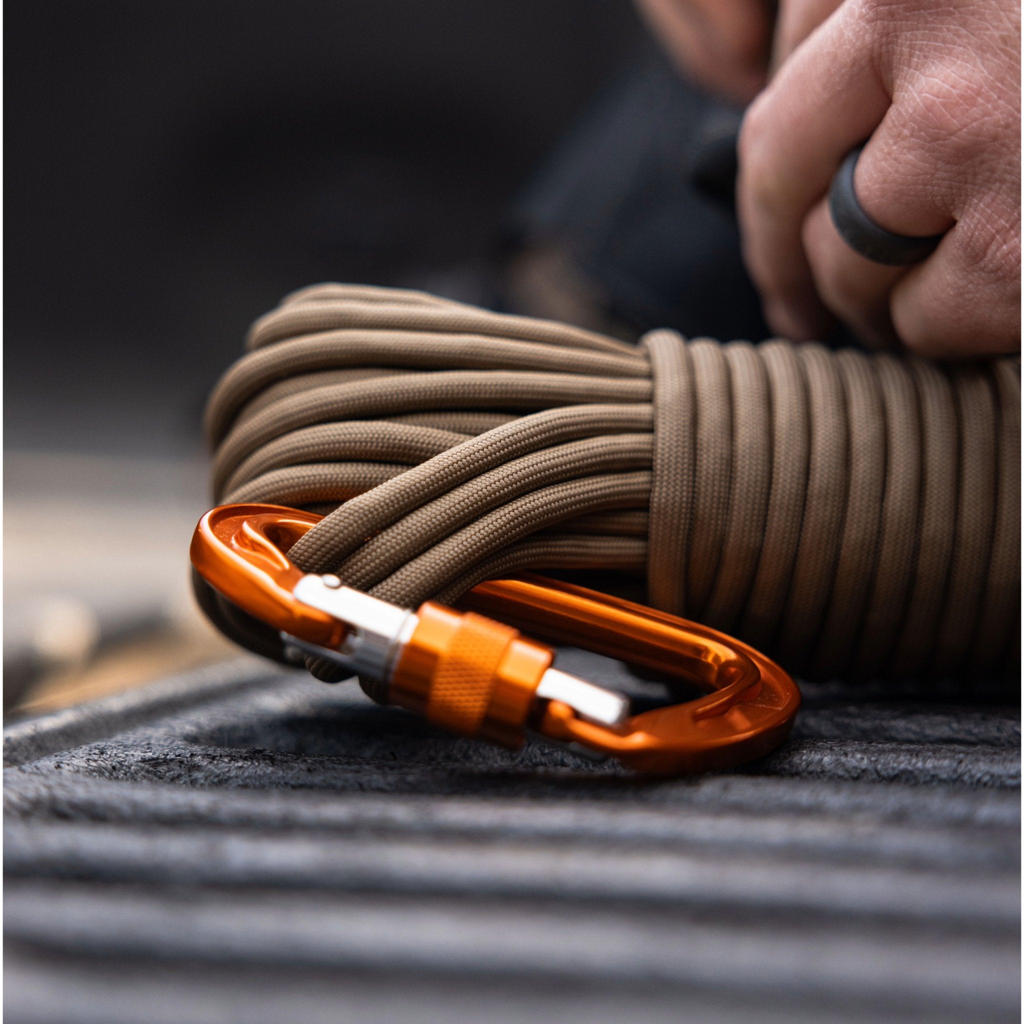 Cordage