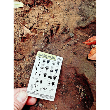 20 Piece Emergency and Survival Tip Card Kit: 20 Weatherproof Tip Cards