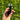 Acebeam TAC AA Tactical Flashlight (Avalanche Grey)