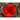 COML - Communication Unit Leader XPAC® Bag by Maratac®