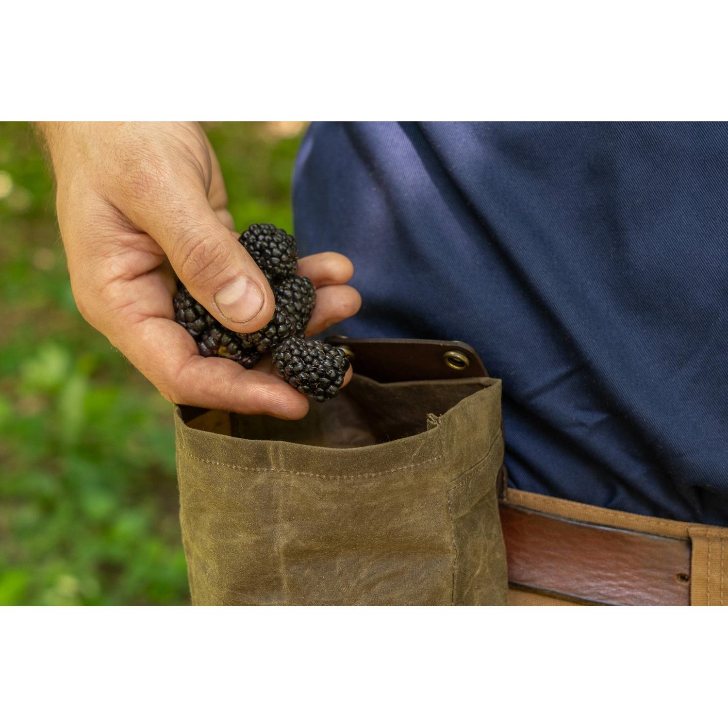 Collapsible Foraging Bag