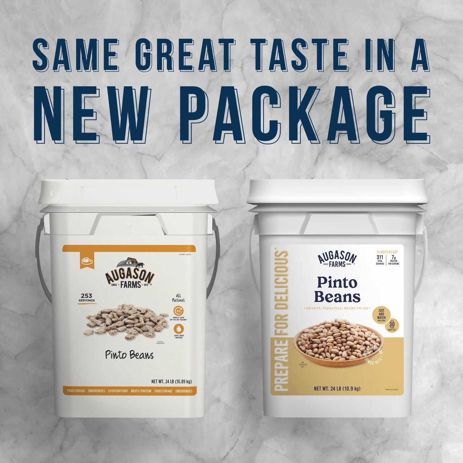 Dried Pinto Beans 4 Gallon Pail – 311 Servings