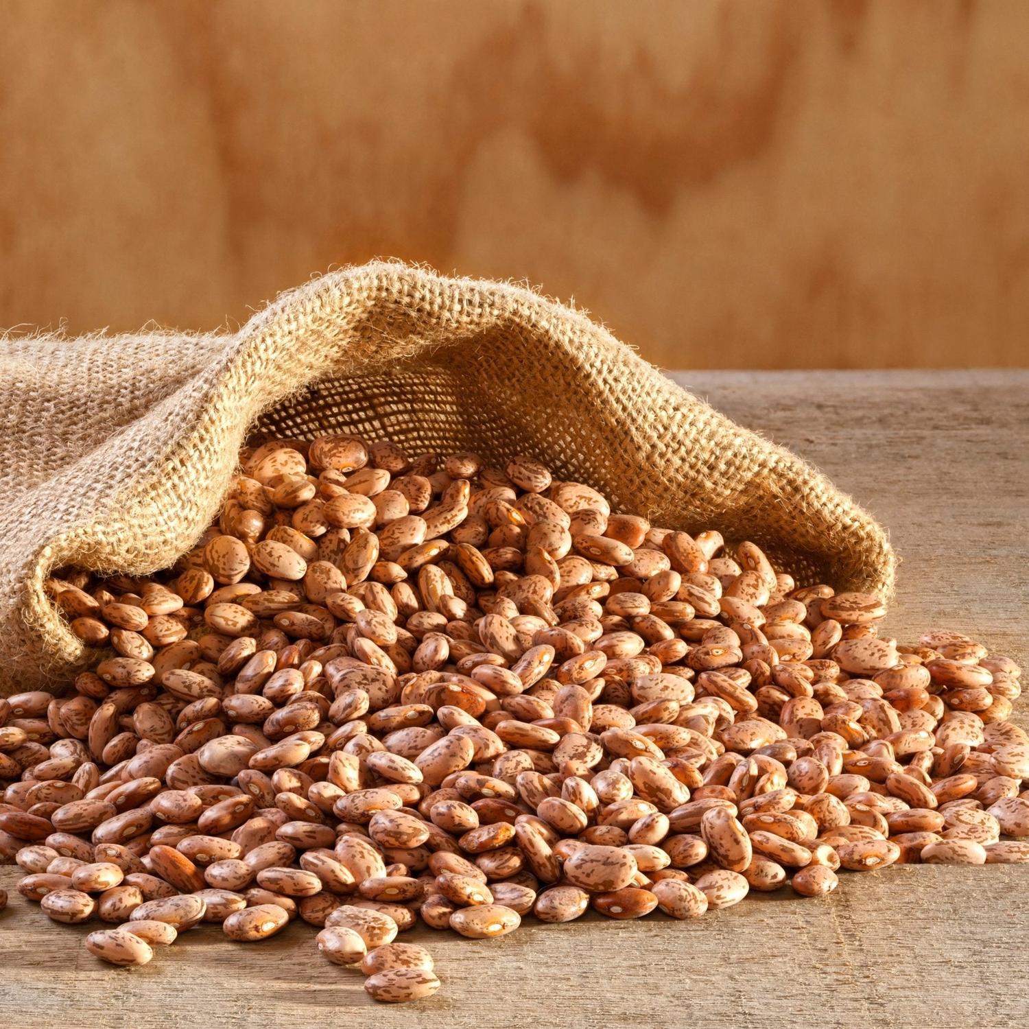 Dried Pinto Beans 4 Gallon Pail – 311 Servings