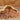 Dried Pinto Beans 4 Gallon Pail, 311 Servings