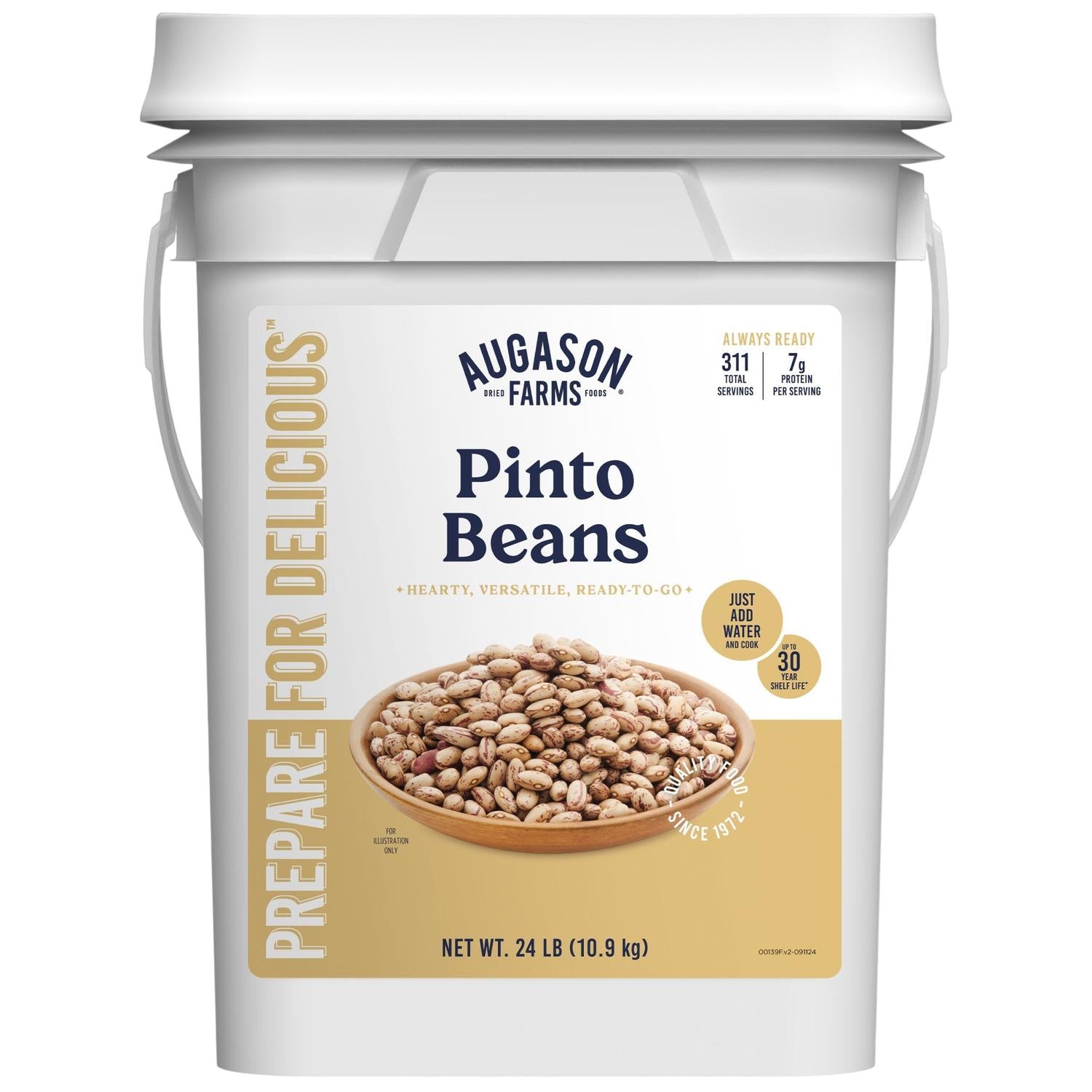 Dried Pinto Beans 4 Gallon Pail – 311 Servings