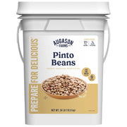 Dried Pinto Beans 4 Gallon Pail – 311 Servings