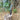 ESEE-4 Fixed Blade Knife