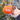Emergency Bivvy with Rescue Whistle (Orange)