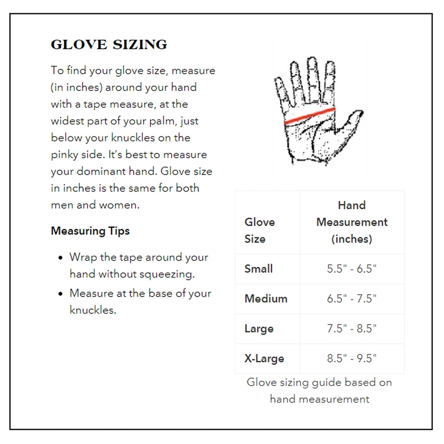 Extreme Gear Fingerless Gloves