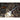 Fenix PD25R Rechargeable LED Flashlight