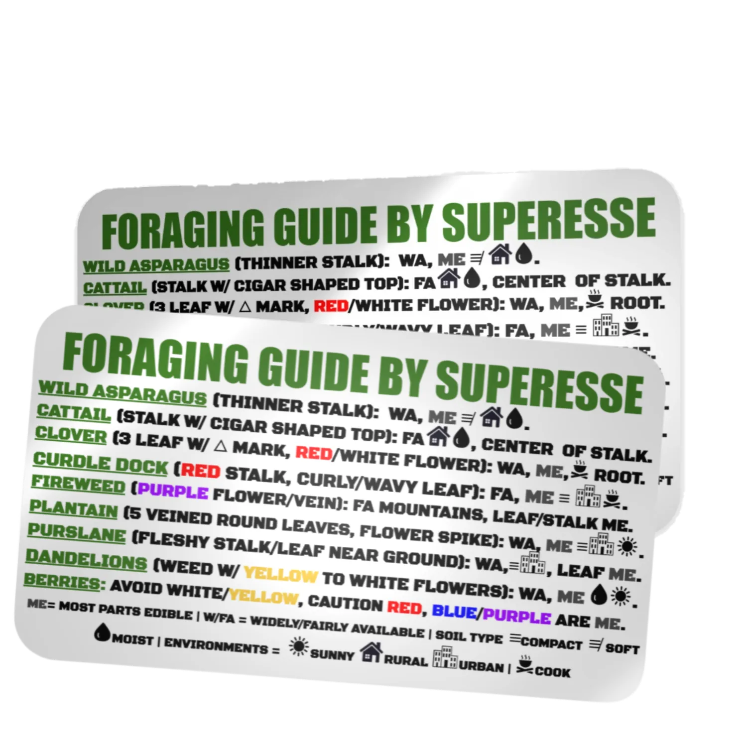 Foraging Guide Decal - Plants and Edibles Quick Identification Reference