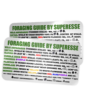 Foraging Guide Decal - Plants and Edibles Quick Identification Reference