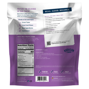 Freeze Dried Pineapple Chunks Family Size Pouch – 20 Servings