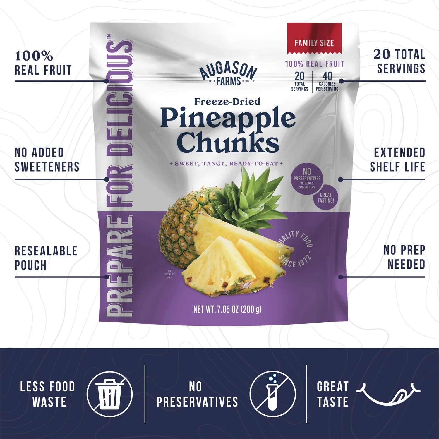 Freeze Dried Pineapple Chunks Family Size Pouch – 20 Servings