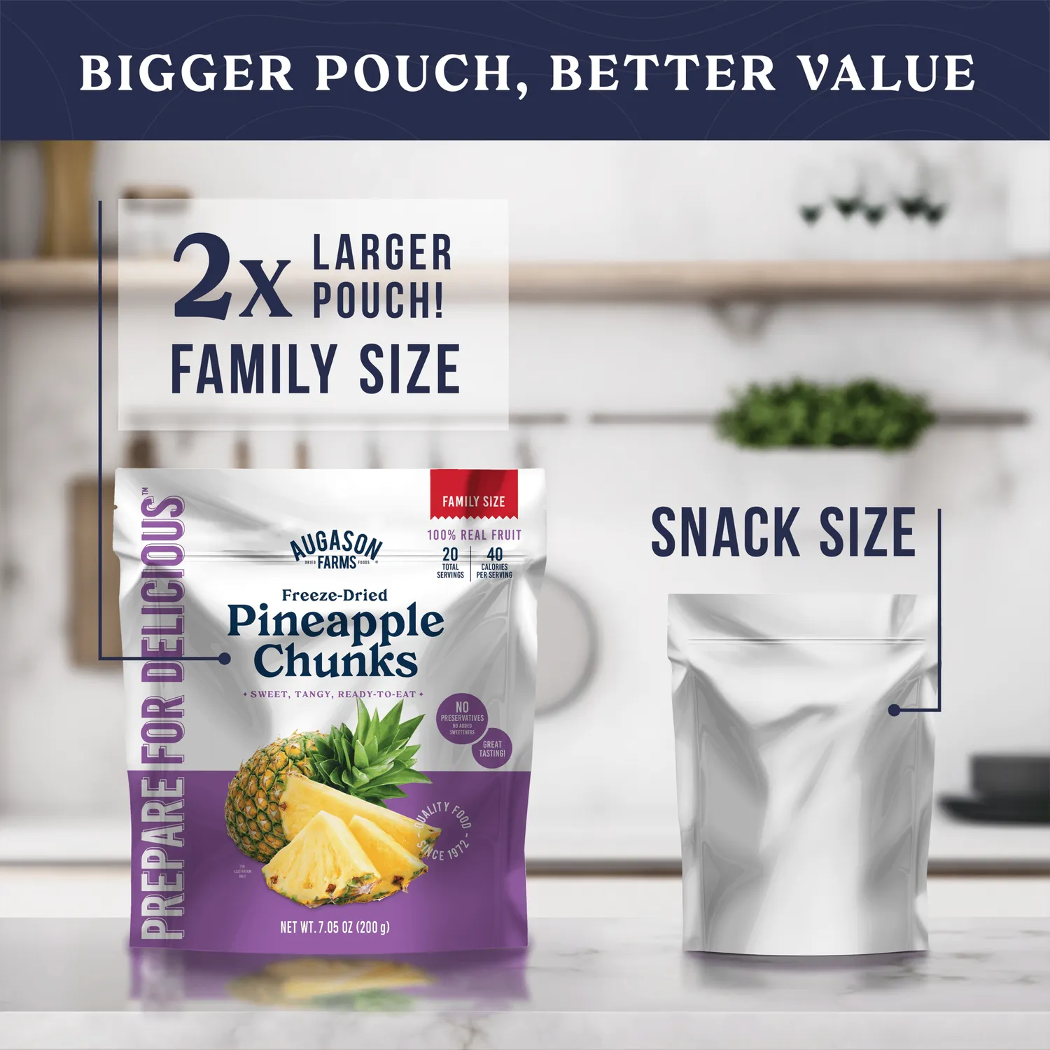 Freeze Dried Pineapple Chunks Family Size Pouch – 20 Servings