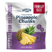 Freeze Dried Pineapple Chunks Family Size Pouch – 20 Servings