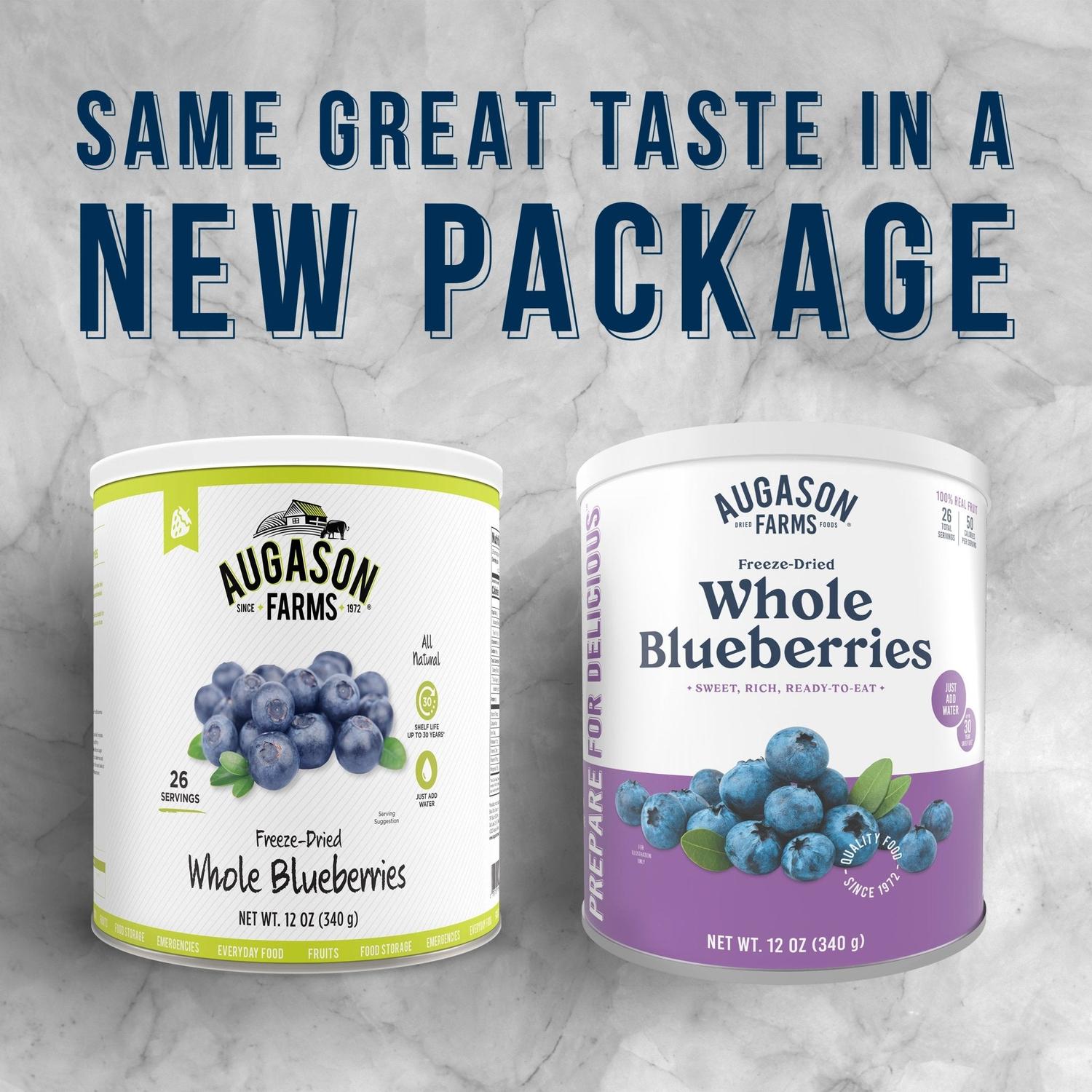 Freeze-Dried Whole Blueberries Can – 26 Servings