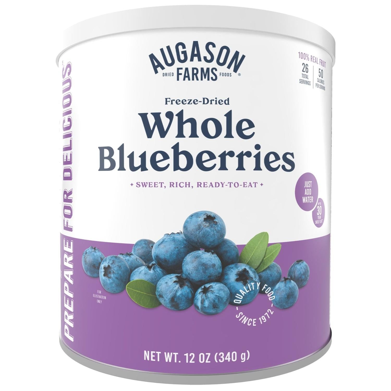 Freeze-Dried Whole Blueberries Can – 26 Servings