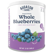 Freeze-Dried Whole Blueberries Can – 26 Servings