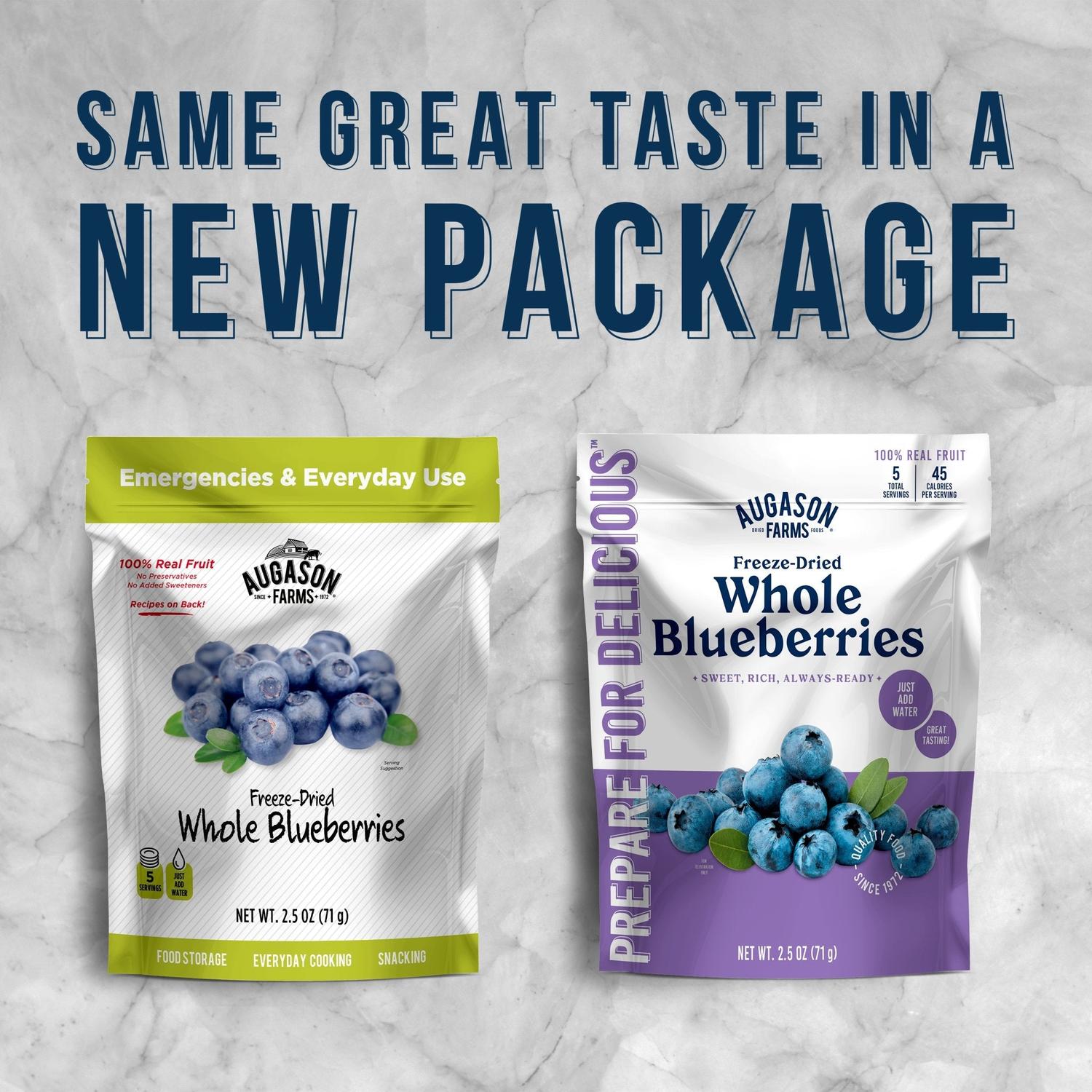 Freeze Dried Whole Blueberries Pouch – 5 Servings