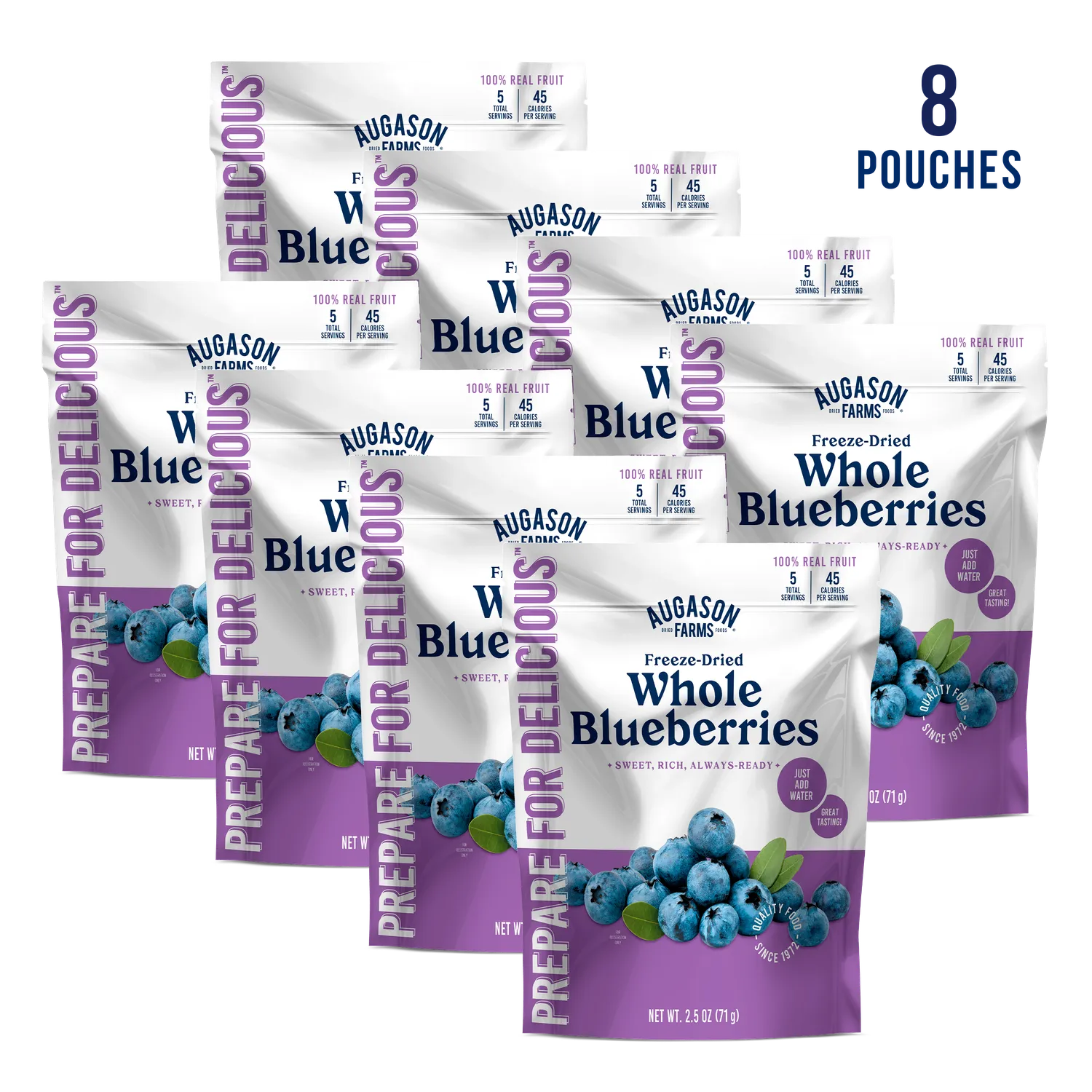 Freeze Dried Whole Blueberries Pouch – 5 Servings