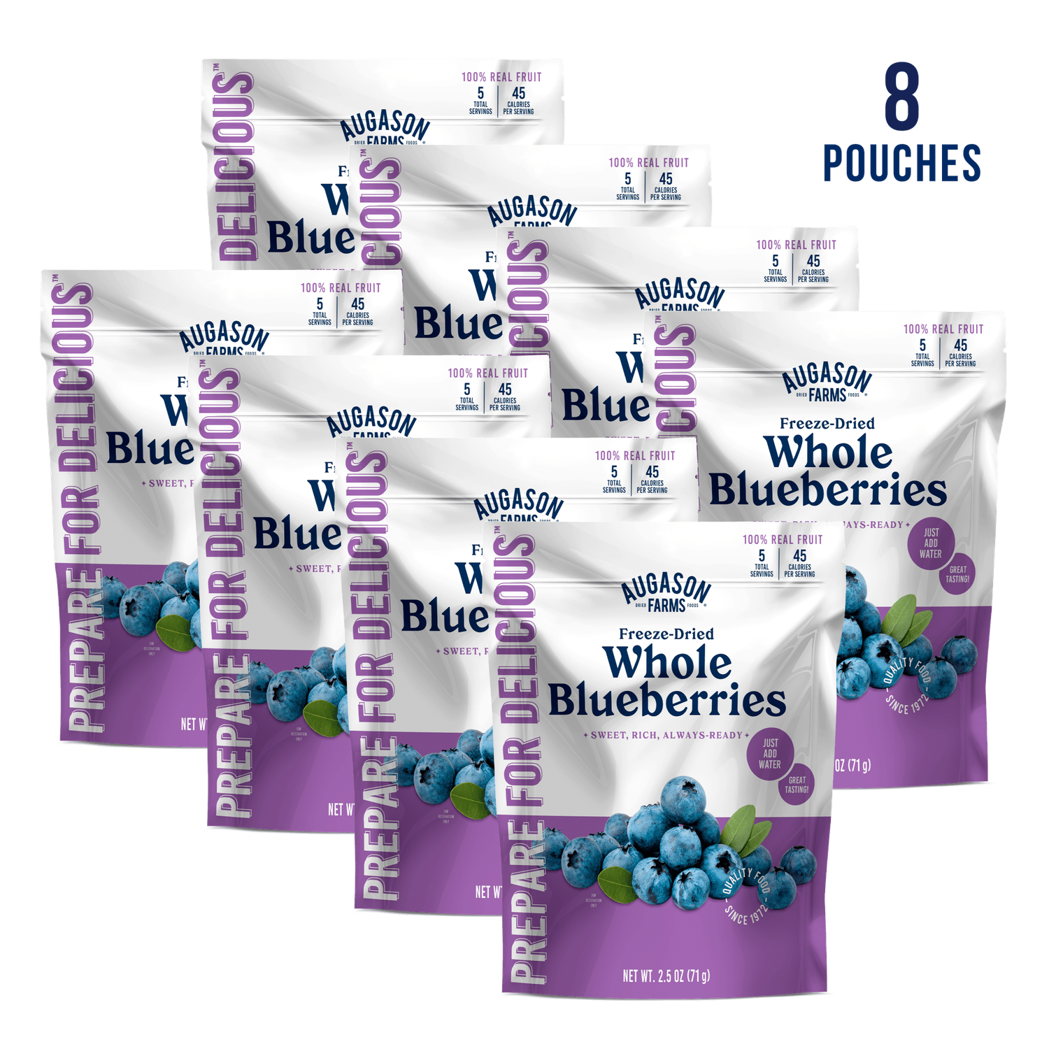 Freeze Dried Whole Blueberries Pouch – 5 Servings