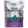 Freeze Dried Whole Blueberries Pouch – 5 Servings