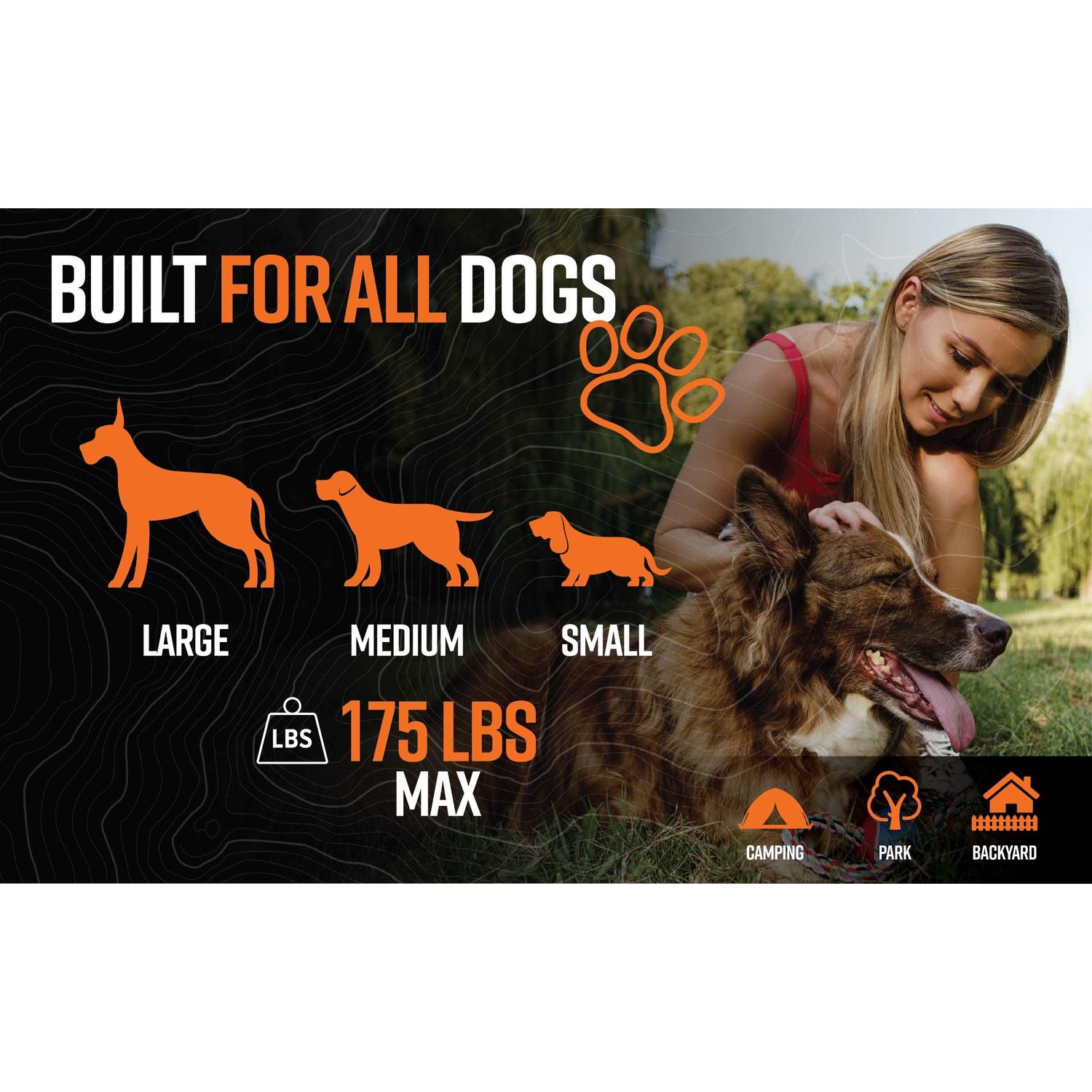Grounded Paws Dog Tie Down Kit