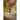 KPL Dry Film™