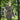 M-Tac Waist Bag Elite Hex – Cordura Tactical Waist & Sling Bag