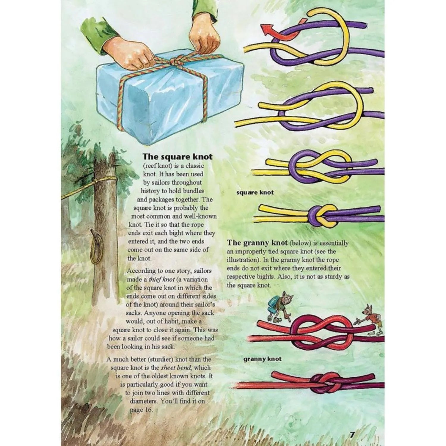 My First Book of Knots - A Beginner's Picture Guide