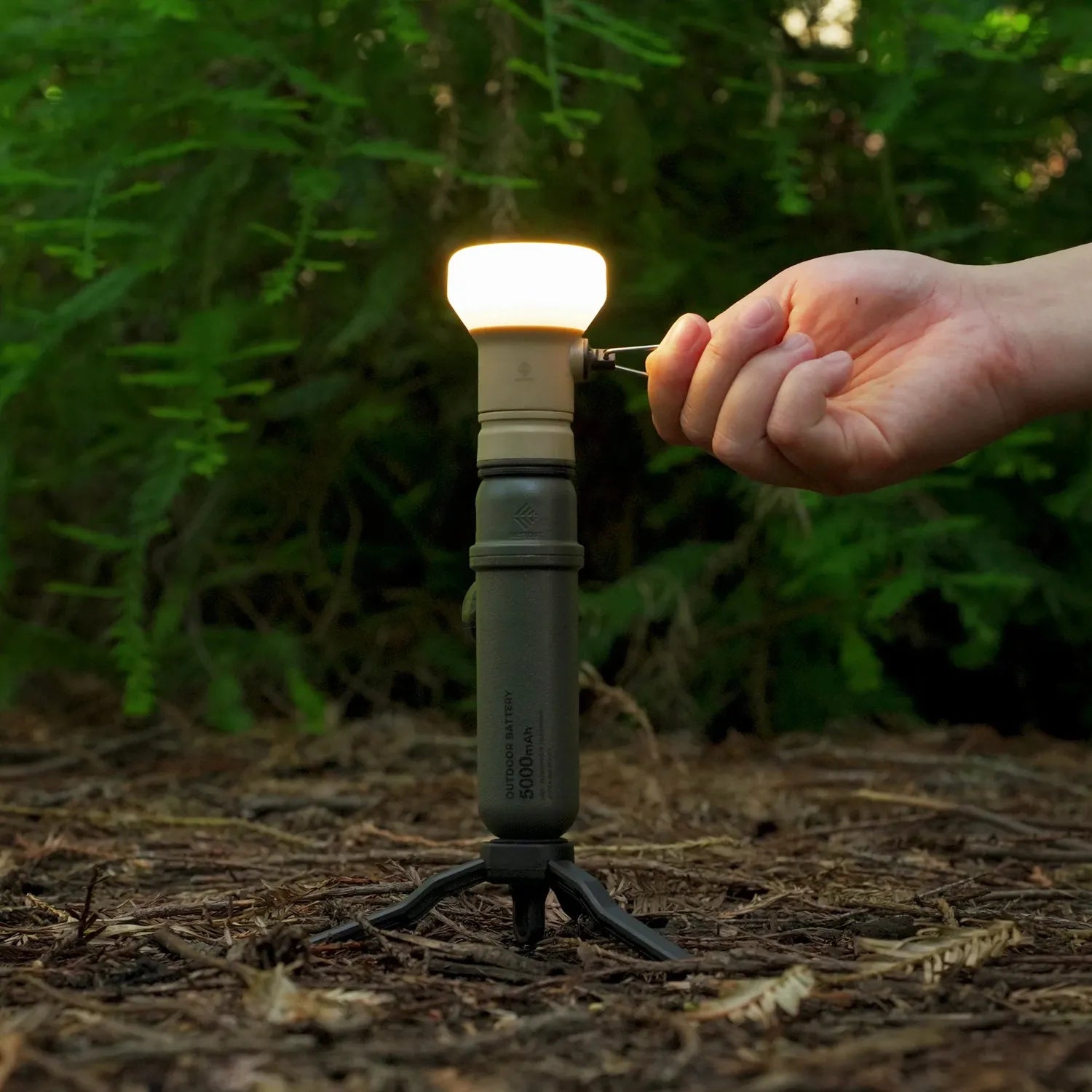 NESTOUT LAMP-1 Lantern