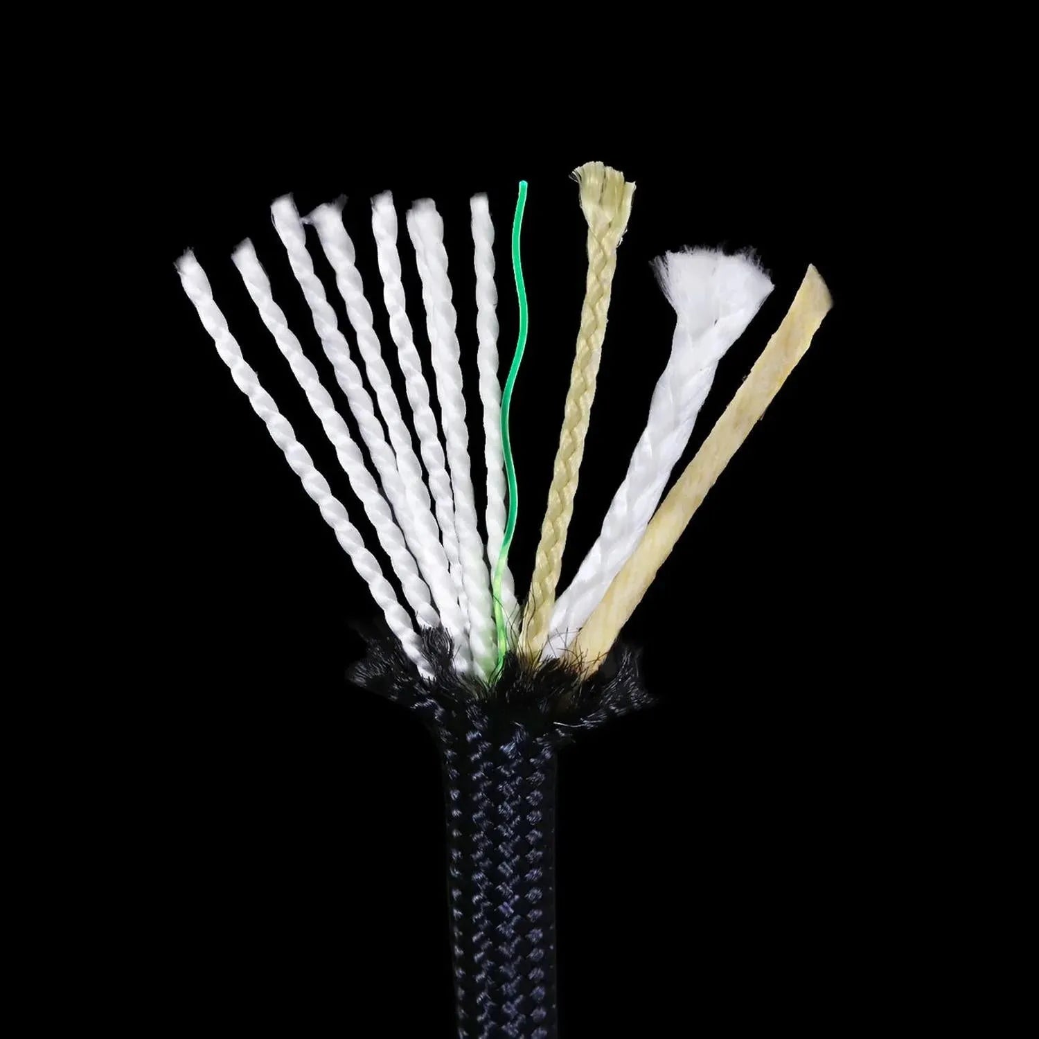 Parapocalypse Ultimate Survival Cord – 100 ft