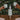 Parkside Flask™ 750ml Cypress Green