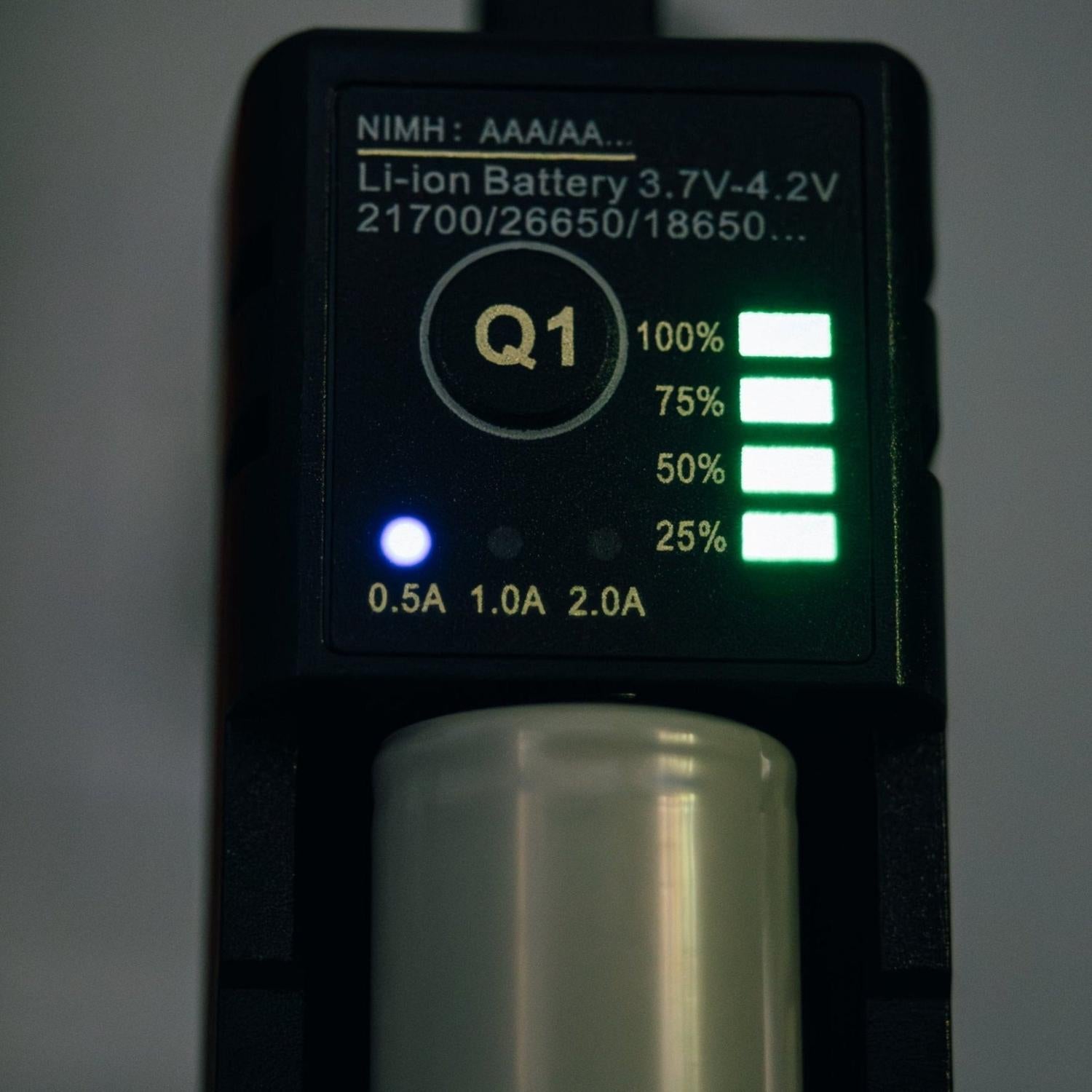 Pro Intelligent Battery Charger