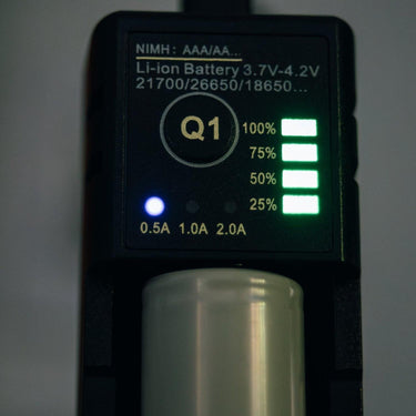 Pro Intelligent Battery Charger